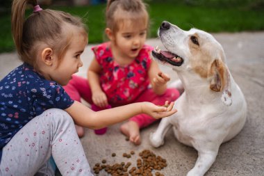 Güneşli bir öğleden sonra, iki kız neşeli bir köpekle abur cuburlarını paylaşır..