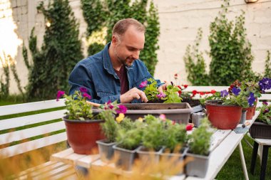 İnsanoğlu açık havada renkli bitkiler yetiştirir..