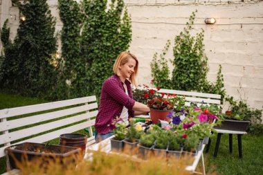 Bahçıvan güzel bir alanda renkli bitkiler düzenler..