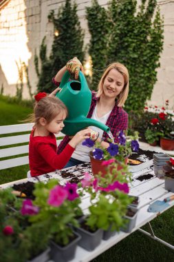 Bir anne ve kız bahçede birlikte çiçek dikiyorlar..
