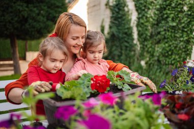 Tencerelere renkli çiçekler ekmenin eğlenceli bir aktivitesi..