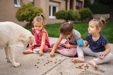 Üç küçük kız gün ışığında neşeli bir köpekle atıştırmalık zaman paylaşıyor..