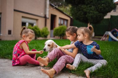 Güneşli bir öğleden sonra, üç çocuk neşeli bir köpekle oyun oynamaktan zevk alır..