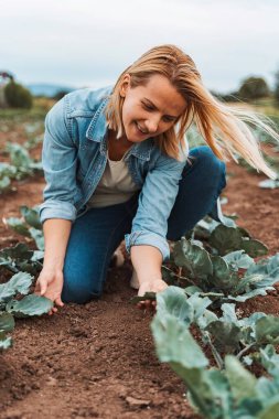 Genç çiftçi kadın tarlasında sebze yetiştiriyor.