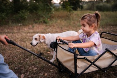 Anne ve babası, çim tarlasında köpek yürürken bebek arabasını çeker.