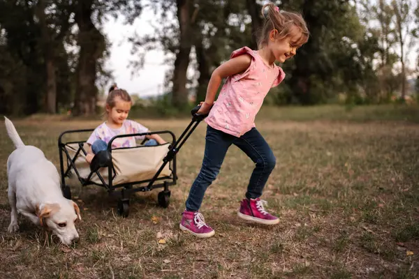 İki küçük kız kardeş, parkta başka bir kız kardeş ve köpekleriyle birlikte at arabasıyla oyun oynuyorlar.