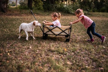 İki küçük ikiz kız kardeş parkta köpeklerini ittiriyorlar, birlikte eğleniyorlar.