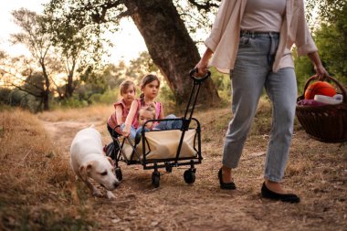 Anne, yaz pikniğinde aile köpeğiyle birlikte üç kızını bir vagona çekiyor.