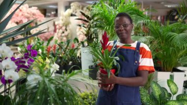 Young florist holding a potted plant smiling in a flower shop footage
