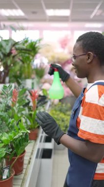 African american florist spraying water on plants in flower shop