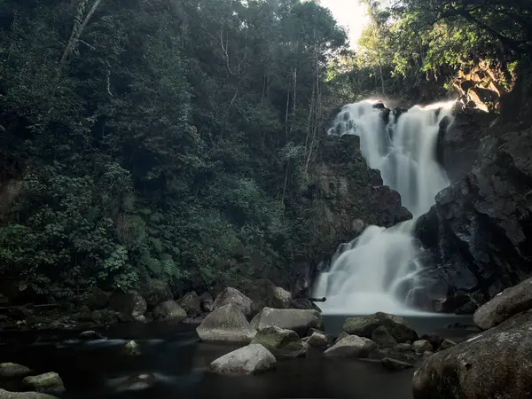 stock image beautiful landscape of the jungle river with waterfall and rocks