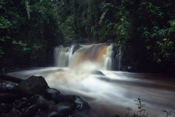 waterfall at the rainforest of the river in the rain forest, thailand