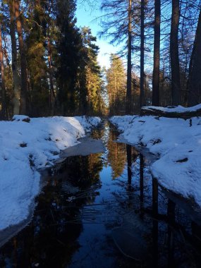 Karlı güzel kış manzarası