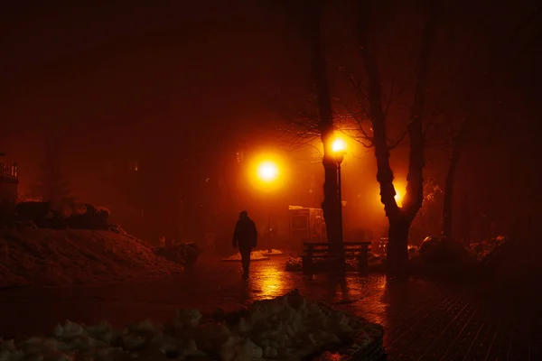 Gece Parkında Sisin Içinde Yürüyen Bir Adamın Silüeti Fenerlerin Çarpıcı — Stok fotoğraf