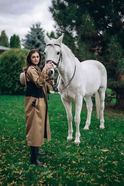 Девушка Позирует Красивой Лошадью Высокое Качество Фото — стоковое фото
