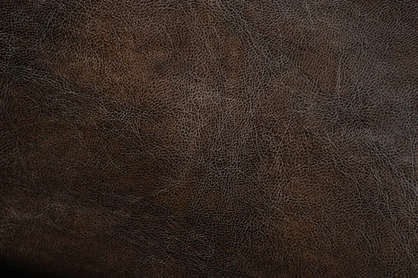 Vintage leather texture. High quality photo