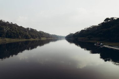Orman ve Amazon nehri gün doğumunda. Yüksek kalite fotoğraf