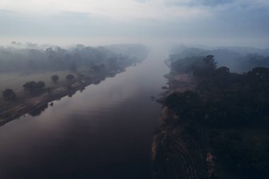 Orman ve Amazon nehri gün doğumunda. Yüksek kalite fotoğraf