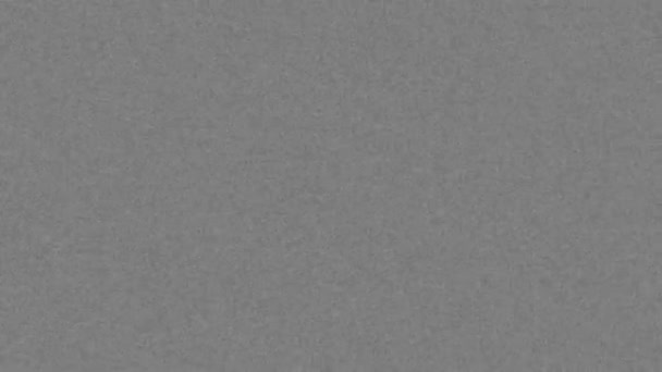 ホワイトノイズ グレイグレインの背景 高品質の4K映像 — ストック動画