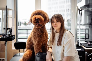 Fotoğraf, büyük kızıl saçlı köpeğiyle bir kuaförde oynayan genç bir kadını resmediyor. Yüksek kalite fotoğraf