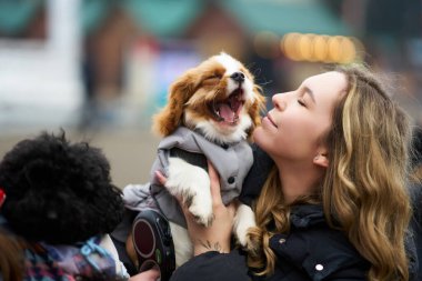 Neşeli bir kadın, soğuk bir sonbahar gününde, açık hava buluşması sırasında sıcak bir anı paylaşan, palto giymiş küçük bir köpeği kucaklar..
