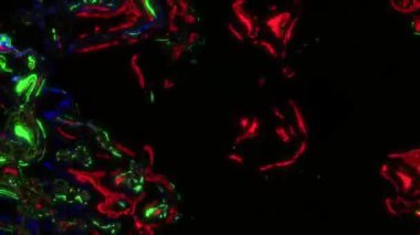 Dinamik soyut şekiller heyecan verici görüntüler yaratmak için canlı renklerle birleşir.