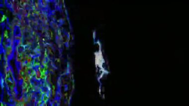 Karanlık bir arkaplan karşısında hareketli şekilleri ve dönen renkleri keşfet