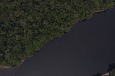 Bir tekne, yoğun yeşil ağaçlarla çevrili karanlık bir nehir boyunca seyahat eder..