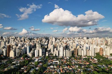 Sao Paulo 'nun yeşil ve mavi gökyüzü ile kentsel gelişimi gösteren görüntüsü.