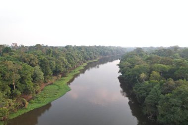 Yoğun bitki örtüsü Amazon havzasındaki gökyüzünü yansıtan sakin bir nehirle sınırlıdır.