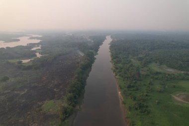 Zengin yeşillikleri ve akan bir nehri olan Amazon 'un güzel manzarası..