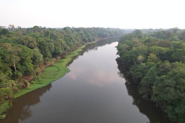 Hava manzarası, yoğun yeşillikler arasında kıvrılan sakin bir nehri gösteriyor..