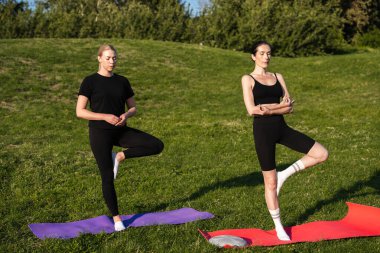 İki kadın parktaki renkli minderler üzerine odaklanmış yoga seansına katılıyor..