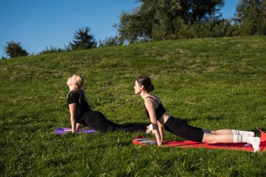 İki kadın güneşli bir parkta renkli minderlerle yoga yapıyor..