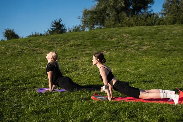 İki kadın güneşli bir parkta renkli minderlerle yoga yapıyor..