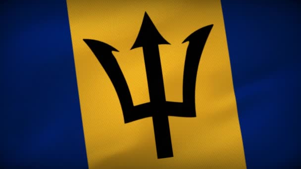 Barbados Graceful Flag Ballet Nationale Vlag Prestaties — Stockvideo