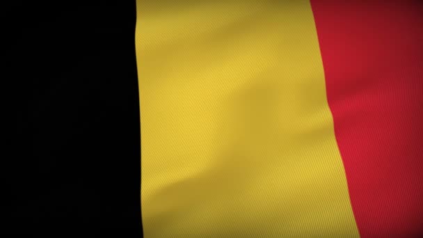 Belgio Dynamic Flag Symphony Edizione Bandiera Nazionale — Video Stock