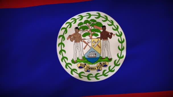 Belize Nemzeti Zászló Kibontása Spectacle — Stock videók