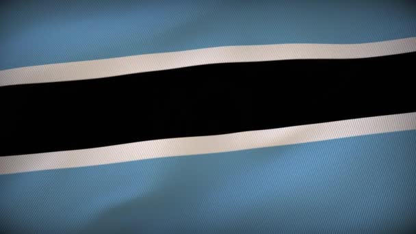 Botswana Flagge Der Resilienz Stehend Hoch — Stockvideo