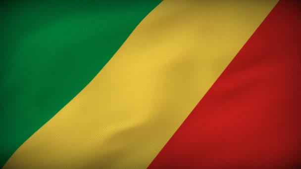 Exibição Bandeira Inspiradora República Congo National Flag Edition — Vídeo de Stock