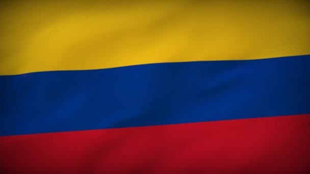 Desfile Bandeira Majestosa Colômbia Mostra Bandeira Nacional — Vídeo de Stock