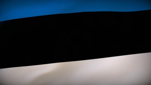 Estónia Bandeira Inspiração Farol Luz — Vídeo de Stock