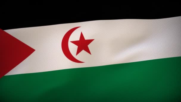 随风飘扬的西撒哈拉旗帜 自由之舞 — 图库视频影像