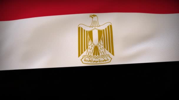 Egypten Flaggväv Vävning Nations Berättelse — Stockvideo