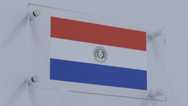 Логотип Жирный Флаг Парагвая Настенной Пластинке Прожектором — стоковое видео