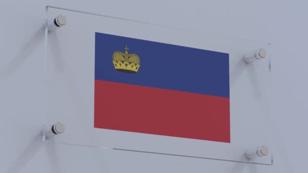 Lichtenštejnské Logo Vyraženým Logem Kožených Kancelářských Doplňcích — Stock video