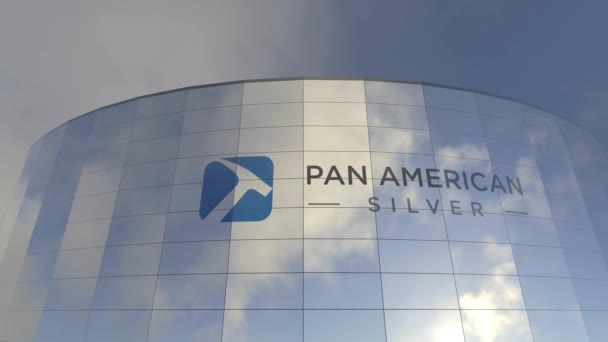 Logo Panamericano Plata Capitalismo Urbano Torre Cristal Que Define Economía — Vídeo de stock