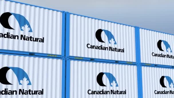 Canadian Natural Resources Logo United Trade Logo Flag Featured Metal — Stock Video