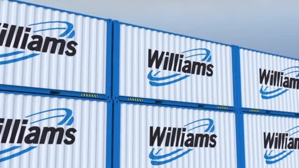 Das Logo Von Williams Companies Für Erfolgreiche Schiffscontainer Mit Emblem — Stockvideo