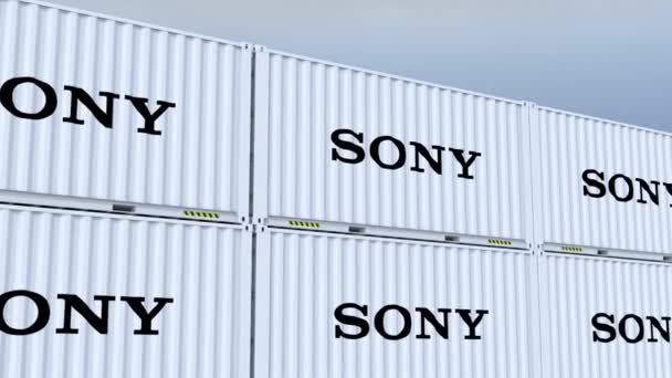 Logotipo Sony Recipiente Navio Com Logotipo Elemento Bandeira — Vídeo de Stock